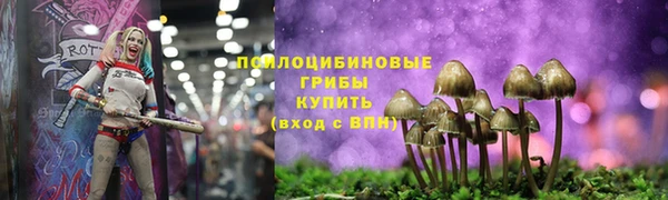 эйфоретик Алексин