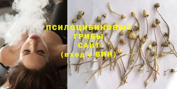 эйфоретик Алексин