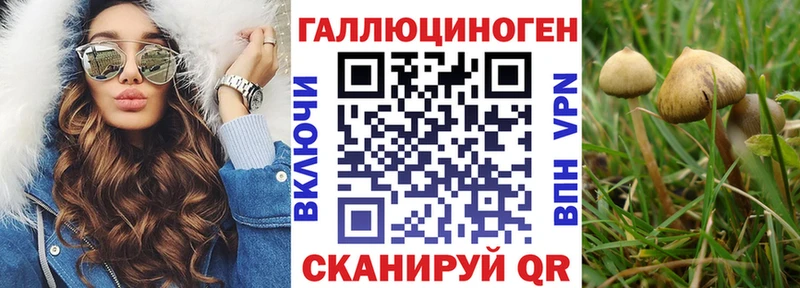Псилоцибиновые грибы Psilocybine cubensis  наркошоп  Томск 
