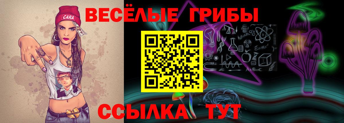 Псилоцибиновые грибы MAGIC MUSHROOMS Томск
