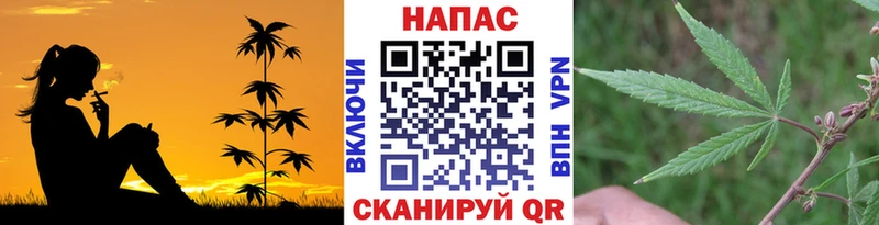 Бошки марихуана Amnesia Томск